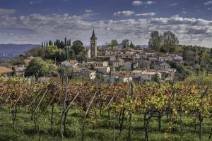 Apartment Arya Puče - Happy Rentals