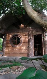 Lush inn Phuket
