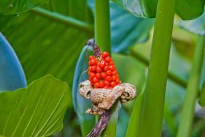 Tierra Guaraní Lodge