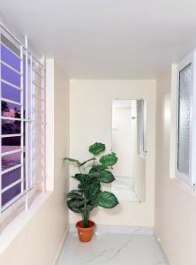 MAHAAs HOMESTAY