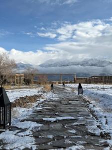 The Postcard in The Himalayan Willows, Stok, Leh