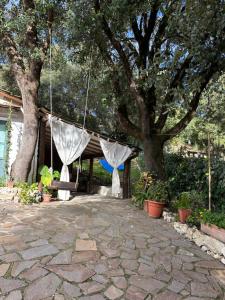 Cozy house in the Chianti region