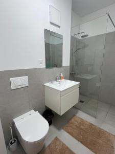 Ioanyk Apartment with parking