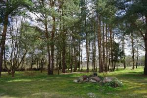 Lavendula - Apartment in Villa Ambrosian