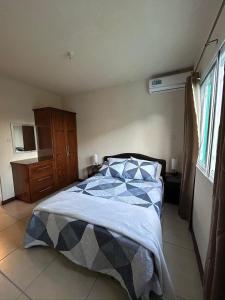 Cozy Apartment in St Patricks