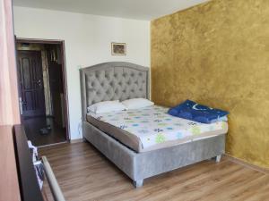 Garsoniera țiglina 1