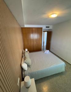 Apartament Patacona
