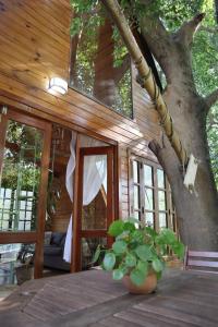 Cabana em lugar mágico - Refúgio na natureza em SP
