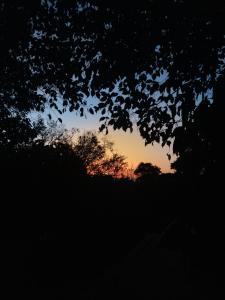 Cabana em lugar mágico - Refúgio na natureza em SP