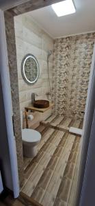 Pensiunea Aura Deltei