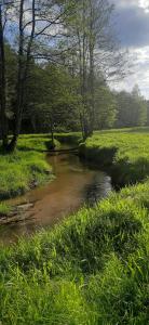 Leśny Relaks
