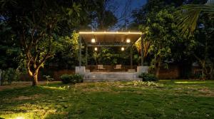 Dharti