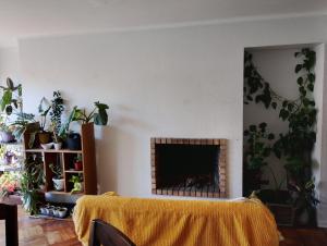 Departamento viña del mar