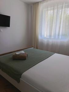 Boutique apartment family 9