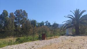 Appartement f2 bejaia centre ville birslam