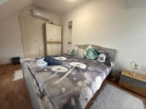 Boróka-ház Mohács