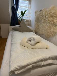 Boróka-ház Mohács