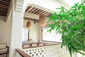 Luxury pool villa Mango House