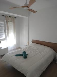 Entre viñas y termas - Ribadavia