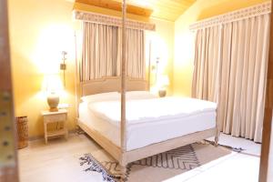 Luxury 4BHK Villa Near Kasauli