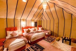 Preferred Luxury Camp