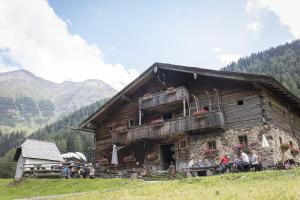 Hochalmbahnen Chalets 20W4, Eberesche, nahe Gondel, Hunde willkommen
