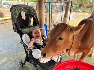 Nguyen Shack Retreat - Phong Nha