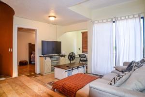 Stylish Apartment Upscale Chapultepec District