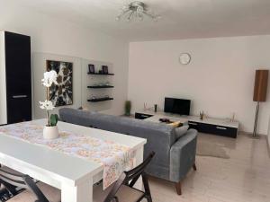 Elegant apartment in Cluj-Napoca city center