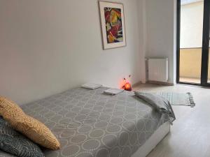 Elegant apartment in Cluj-Napoca city center