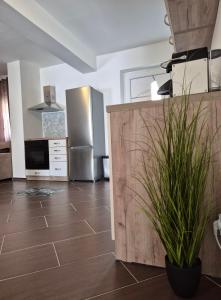 Apartman Nikol