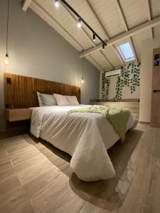 Boro House 6BR 4Jacuzzis in Laureles Medellin
