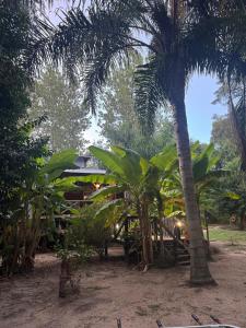 Cabañas Allende Delta