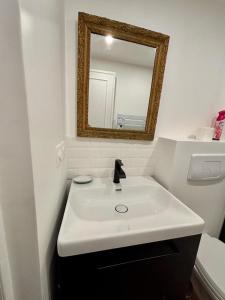 Grand Studio Place des Vosges