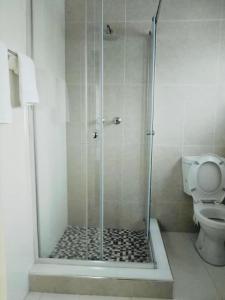 Greystones Apartment