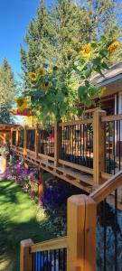 Deer Ridge B&B