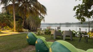 Birds Lounge - Balapitiya