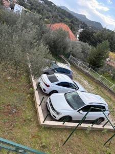 Apartment House Zdrelac - Meri