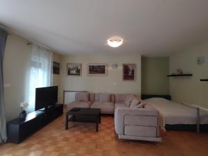 Apartment Green Oasis
