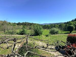 Quinta de Locaia - Refúgio em pedra 19ha - Vistas e total privacidade