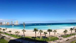 Aotea Backpacker Hostel