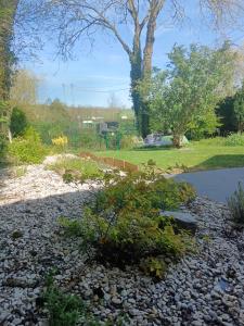 Le clos des papillons