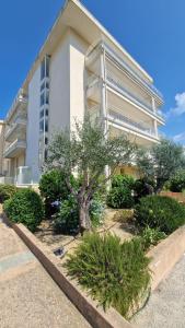 Résidence port Calvi- Apartment T3 sea view