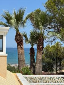 Sea & Sun Terrace Alicante