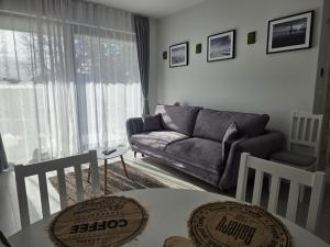 Darłowo Holiday Apartment by Natural Baltic