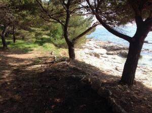 Apartman Podraduč Murter sa pogledom na more