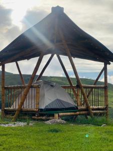 Conexión naturaleza