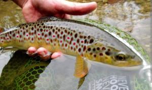 Lunas Mountain House - Jezersko