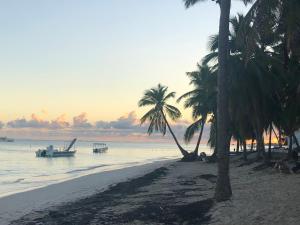 apartments in bavaro with wifi and pool