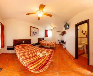 Puerto Lobos Dive camp
